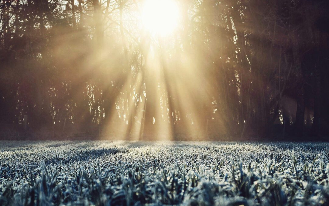 The Impact Winter