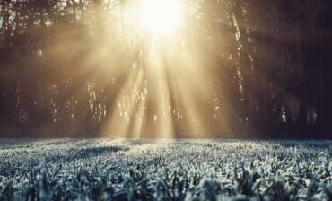 The Impact Winter