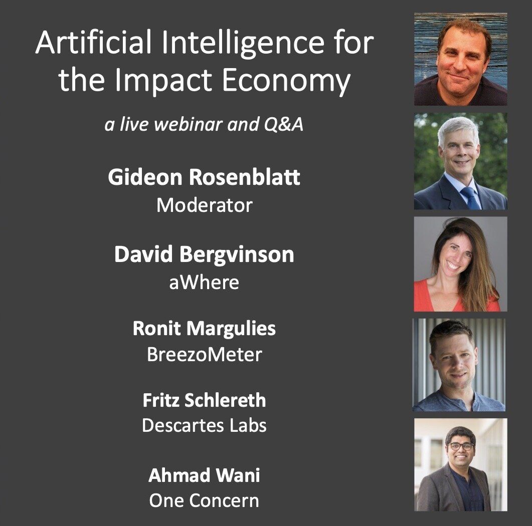Artificial Intelligence for the Impact Economy