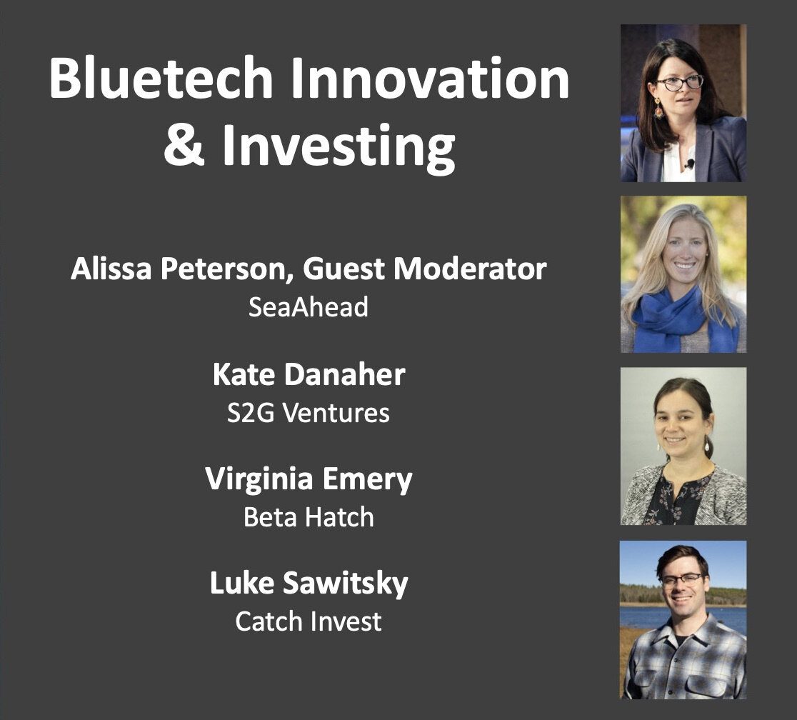 Bluetech Innovation & Investment