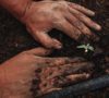 Social Entrepreneurship and Resilience