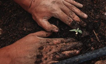 Social Entrepreneurship and Resilience