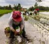 Solving the Trillion Dollar Climate Challenge Begins with Women