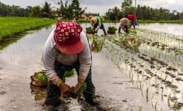 Solving the Trillion Dollar Climate Challenge Begins with Women