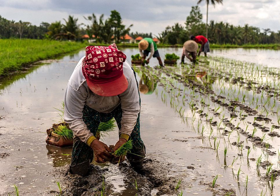 Solving the Trillion Dollar Climate Challenge Begins with Women