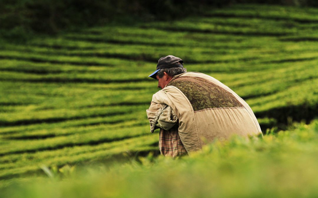 Equitable Venture: The Next Evolution of Impact Investing