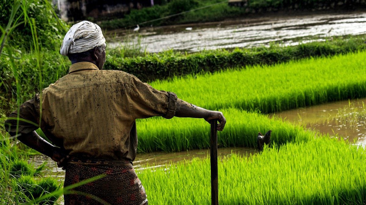 Farmer in Asia