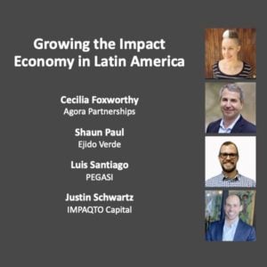Growing the Impact Economy in Latin America