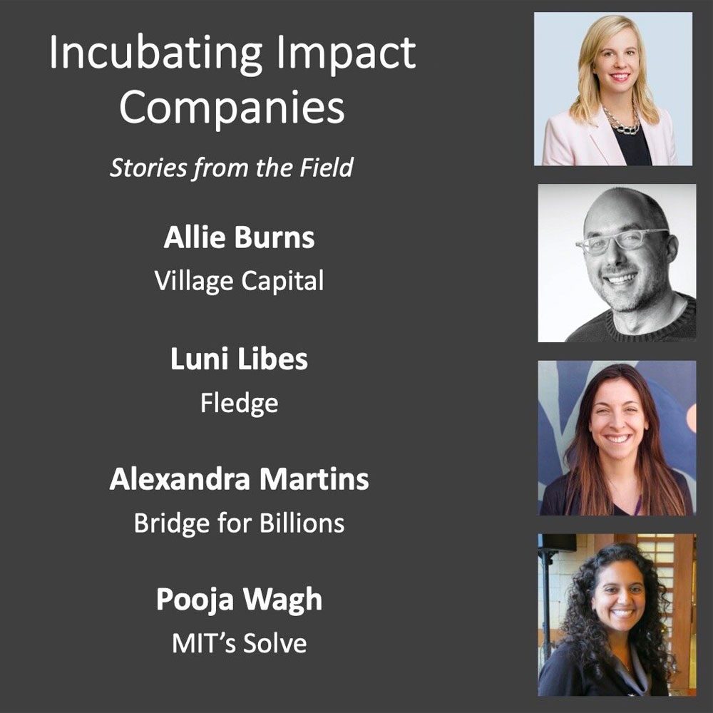 Incubating Impact Companies: Stories from the Field