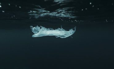 Darwin vs. Impact Investing