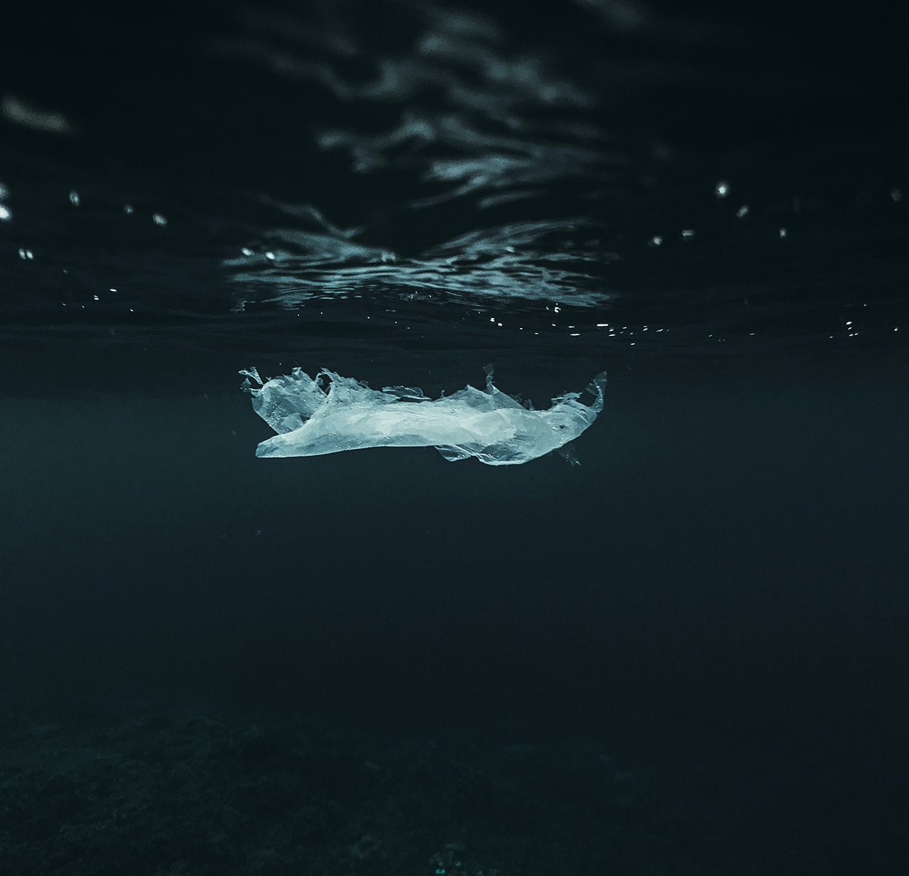 Ocean Plastic
