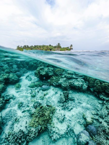Life Under Water