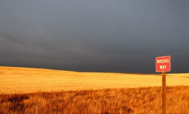 ESG: A Death March in the Wrong Direction, but Slower