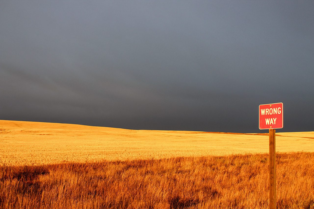Wrong Way Landscape
