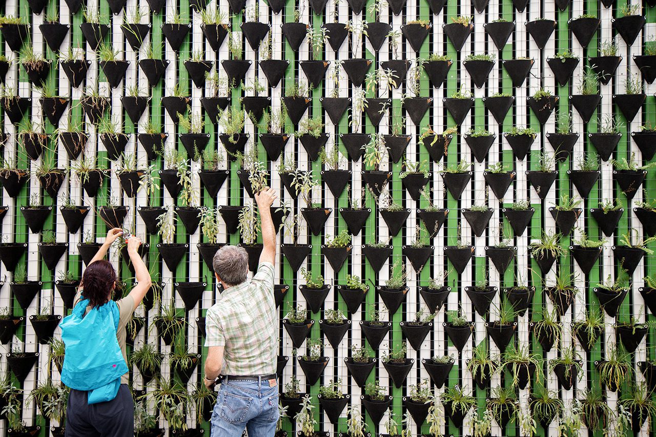 Wall full of planters