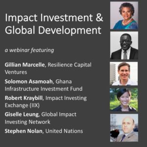 Impact Investment and Global Development