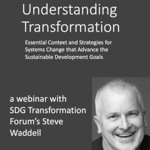 Understanding Transformation and Systems Change with Steve Waddell