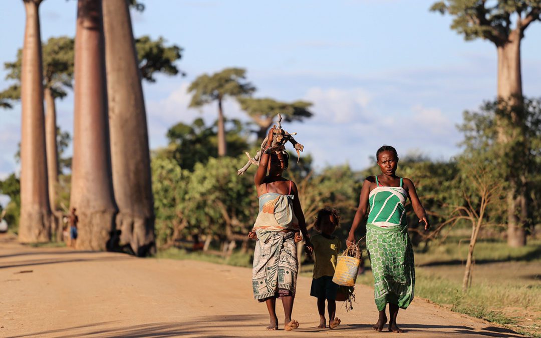 Addressing the Massive Gap in Africa’s Agricultural Sector
