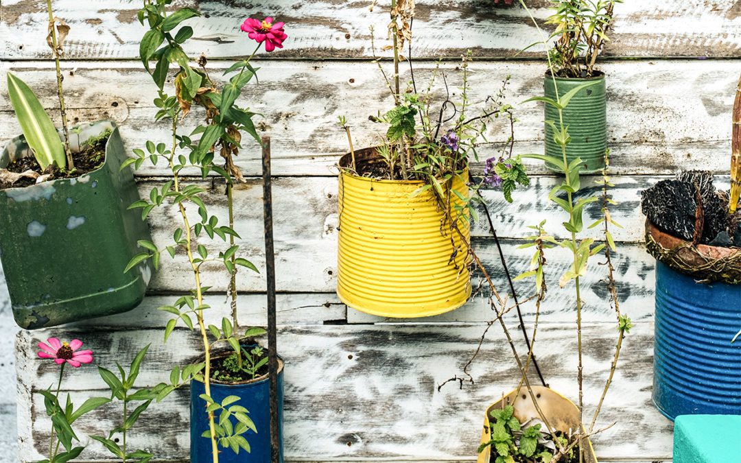 Converting Waste to Value