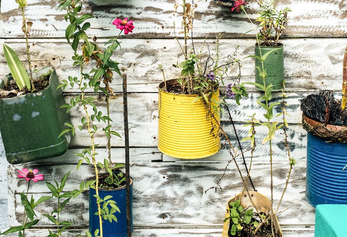 FlowerPots