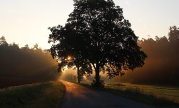 Nature Redistributes Resources