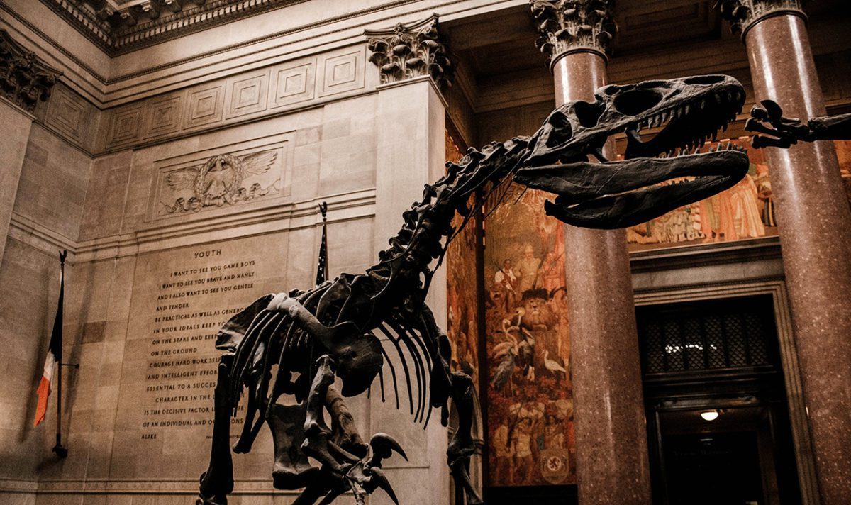 Hollender Howland Dinosaurs - FEATURED