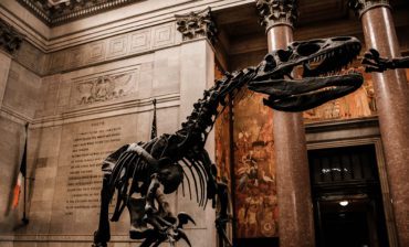 Is the U.S. Chamber Going the Way of the Dinosaurs?