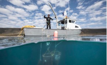 SeaAhead and New England Aquarium Announce BlueSwell Incubatees