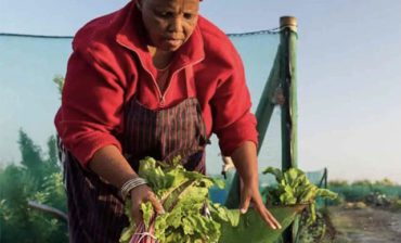 Networks Partner to Catalyze Impact Investing in Africa