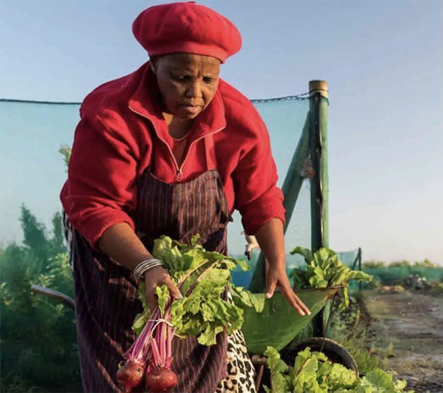 Networks Partner to Catalyze Impact Investing in Africa