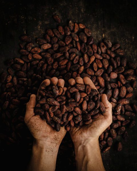 Hands holding crop