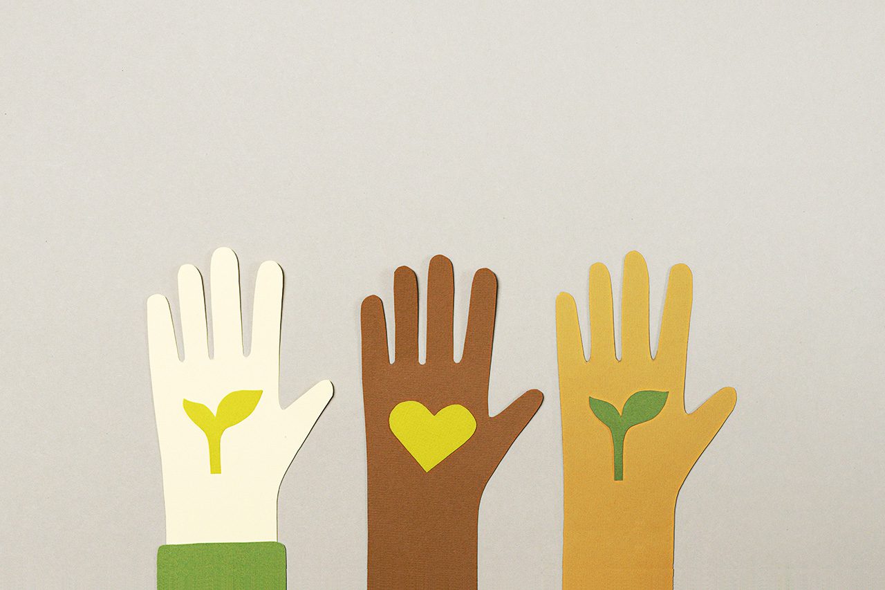 hands of different colors holding seedlings and a heart