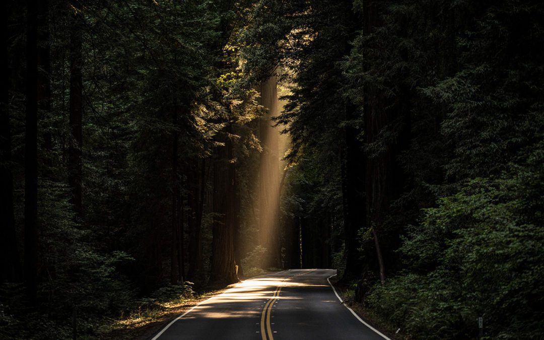 Building a Purpose-Culture