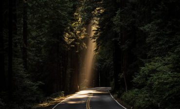 Building a Purpose-Culture