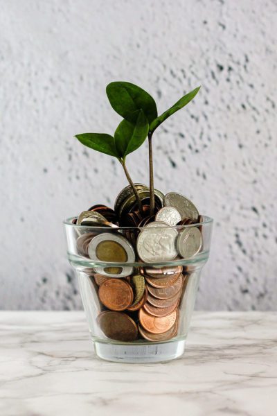 Plant in jar of coins