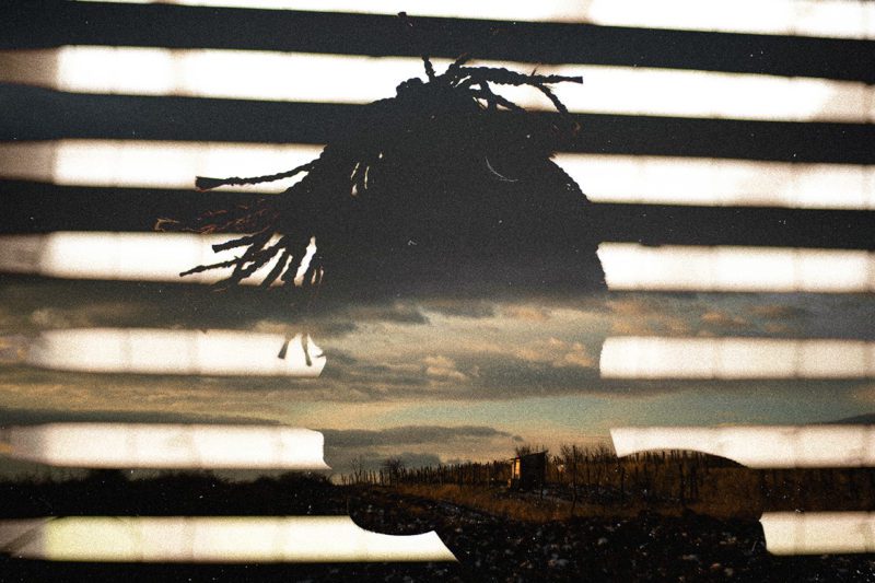 African man in front of blinds