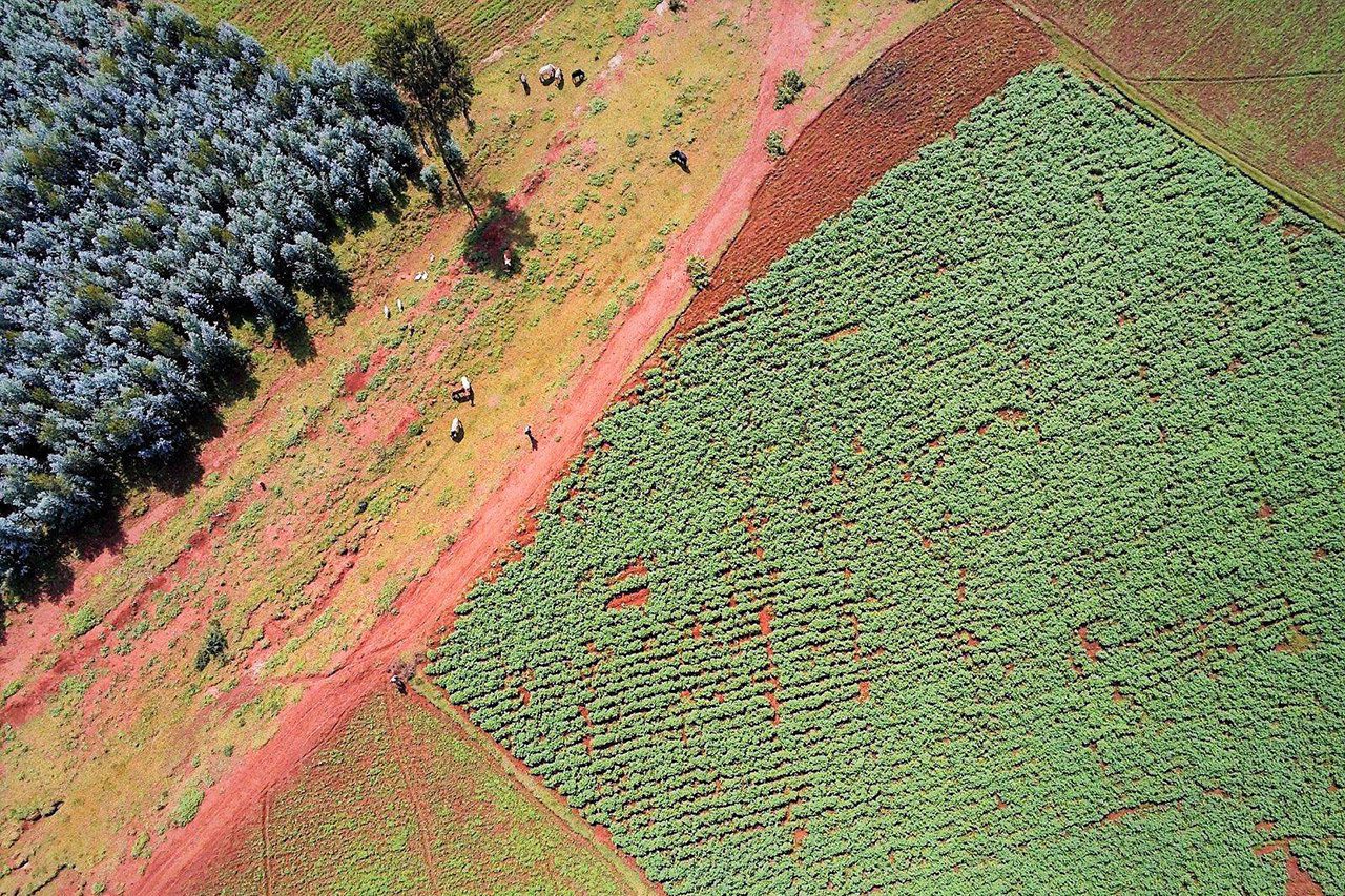 Landscape from above