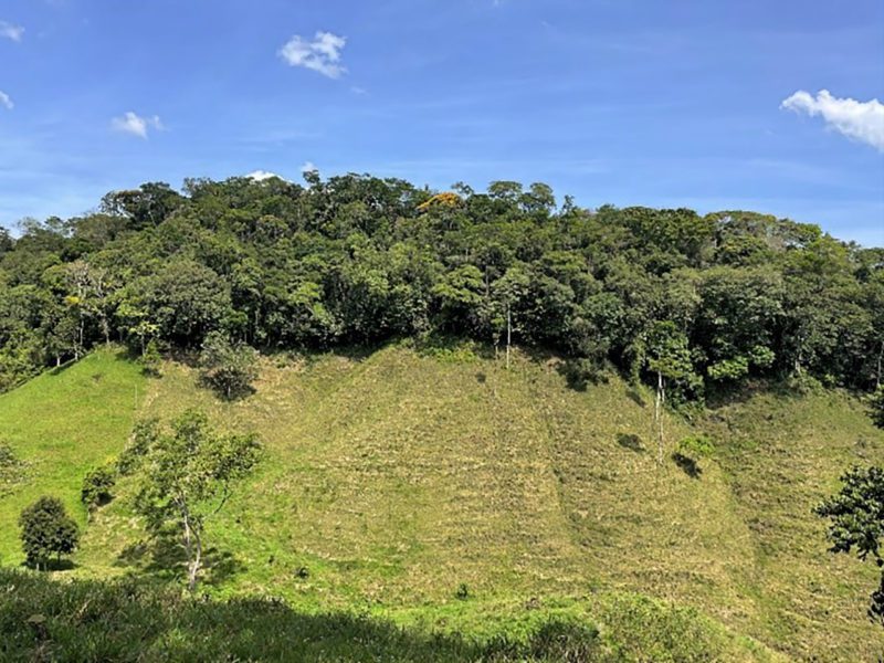 Deforested Land