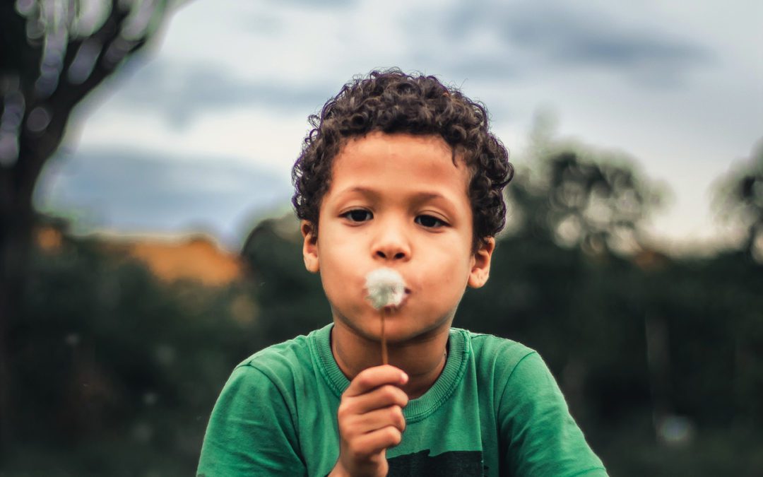 Unlocking the Power of Youth-Led SDG Innovation