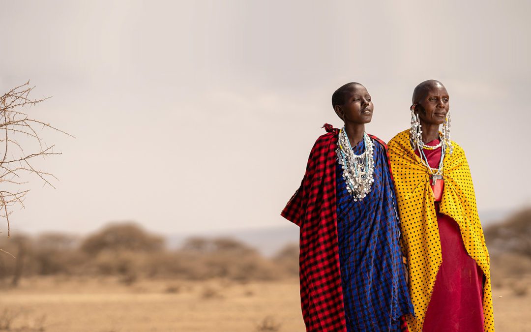 Restoring Degraded Land in Africa