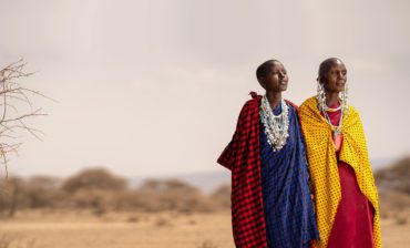 Restoring Degraded Land in Africa