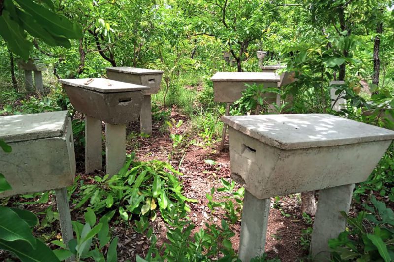 Cultivation planters in Africa