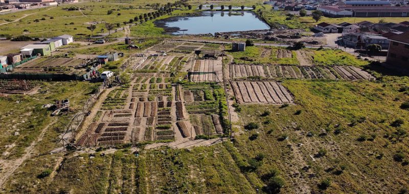 Cultivation plots in Africa