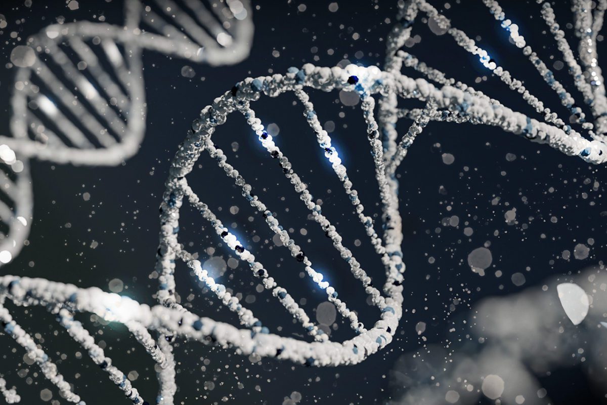 Alexander Kalis - Genetics FEATURED