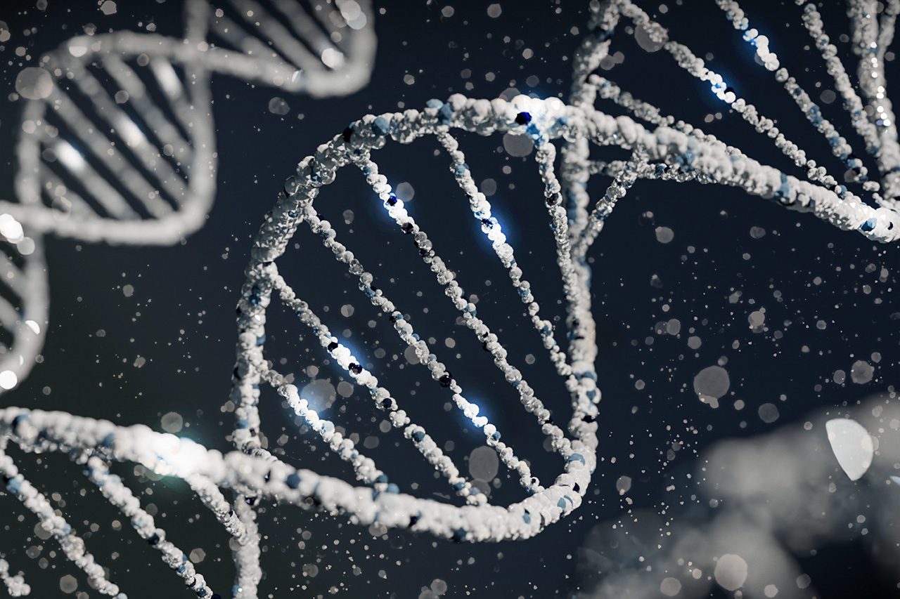 DNA Strand