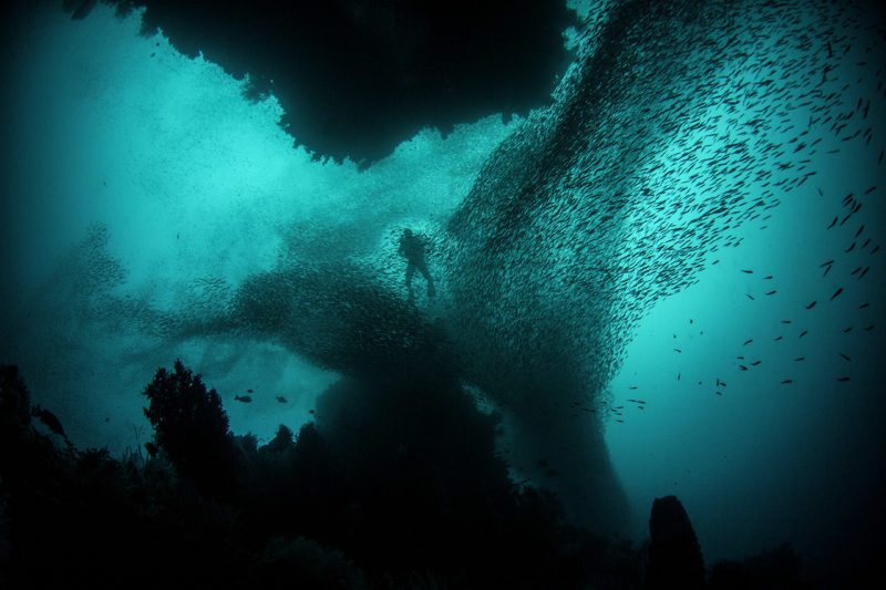 Swimmer looking under the sea