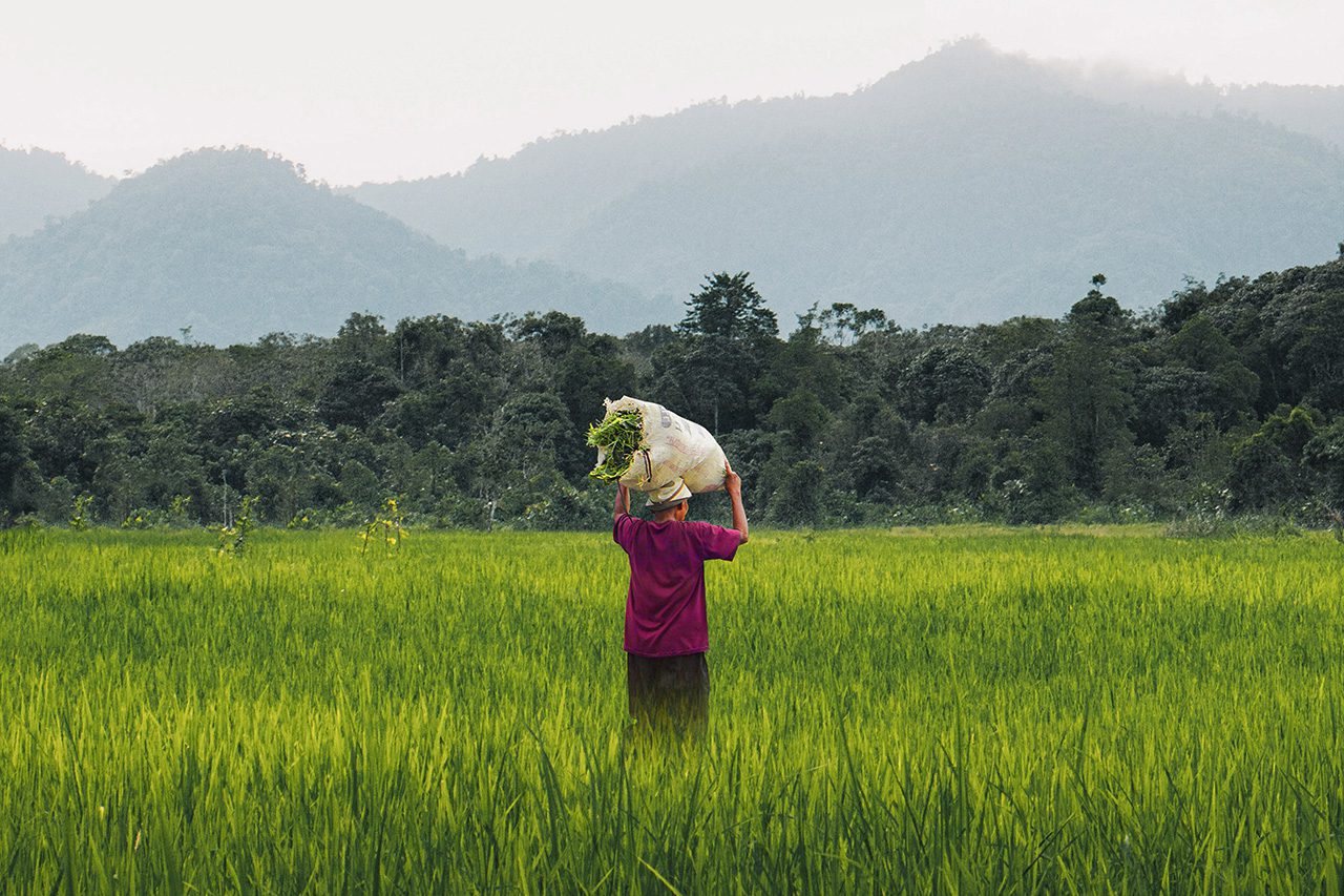 Asian female farmer in field