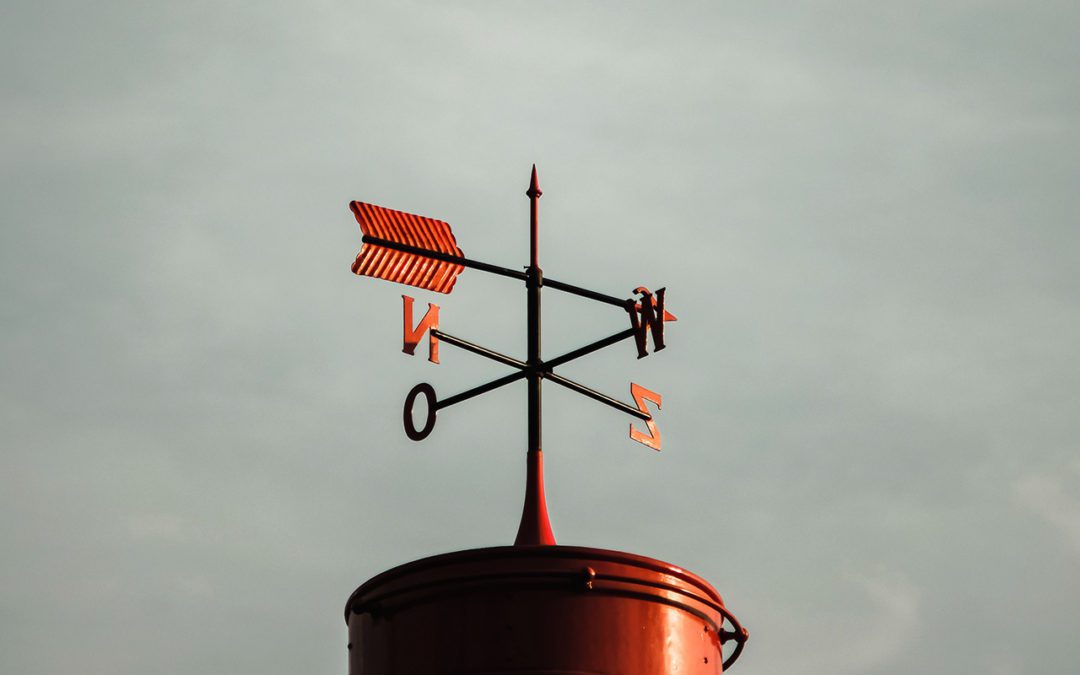 How a Business DAF Can Supercharge Your Impact