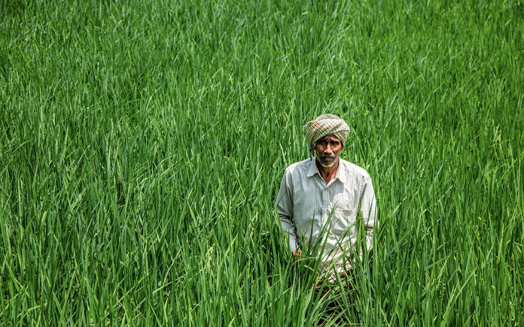 Out of the Box Solution for Farmers