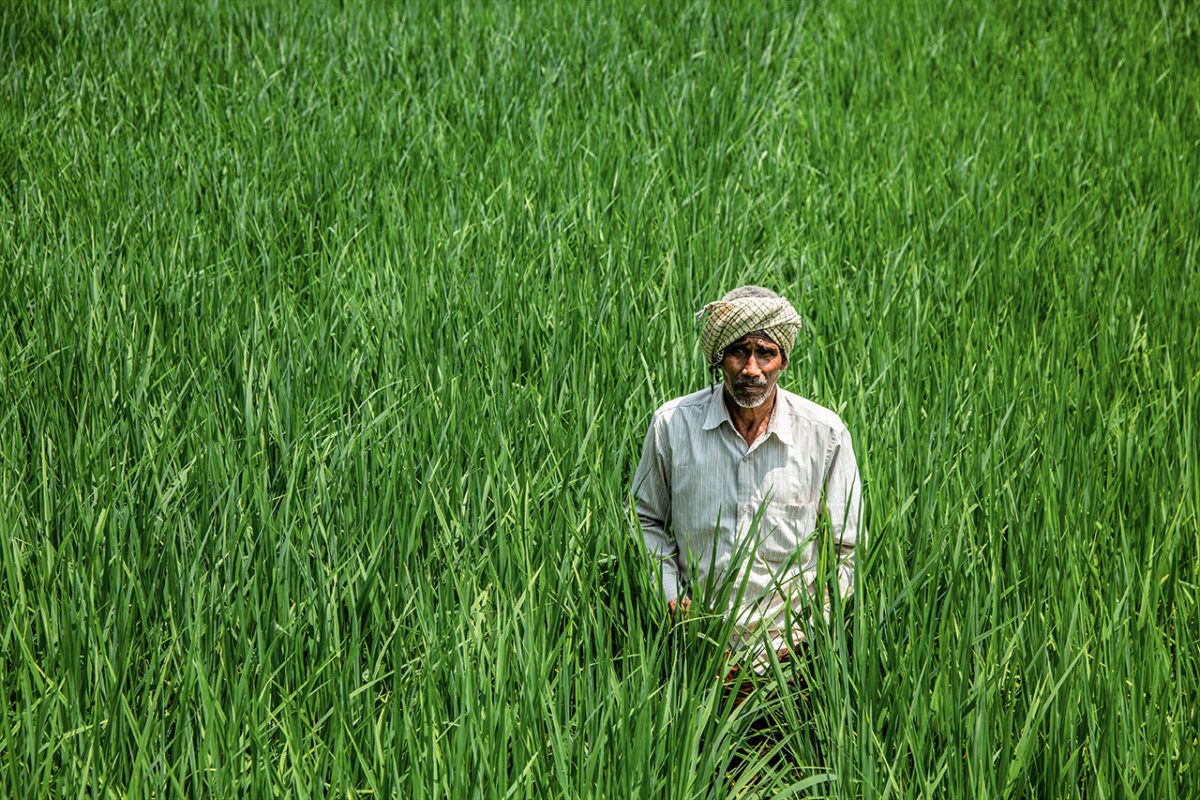 Kim Venkataraman - Solution for Farmers FEATURED